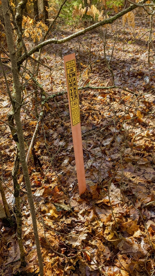 3194 N Warfield Road, Harrietta, MI, 49638-9604