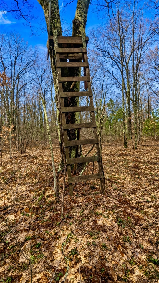 3194 N Warfield Road, Harrietta, MI, 49638-9604