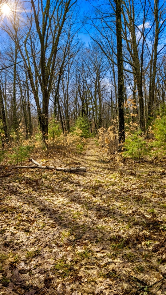 3194 N Warfield Road, Harrietta, MI, 49638-9604