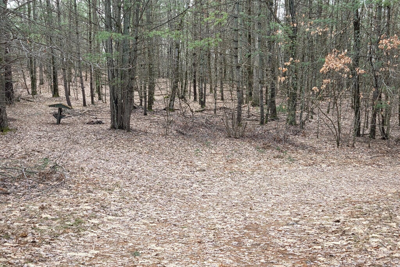 00 E Del Vandell Rd., Chase, MI, 49623-49623