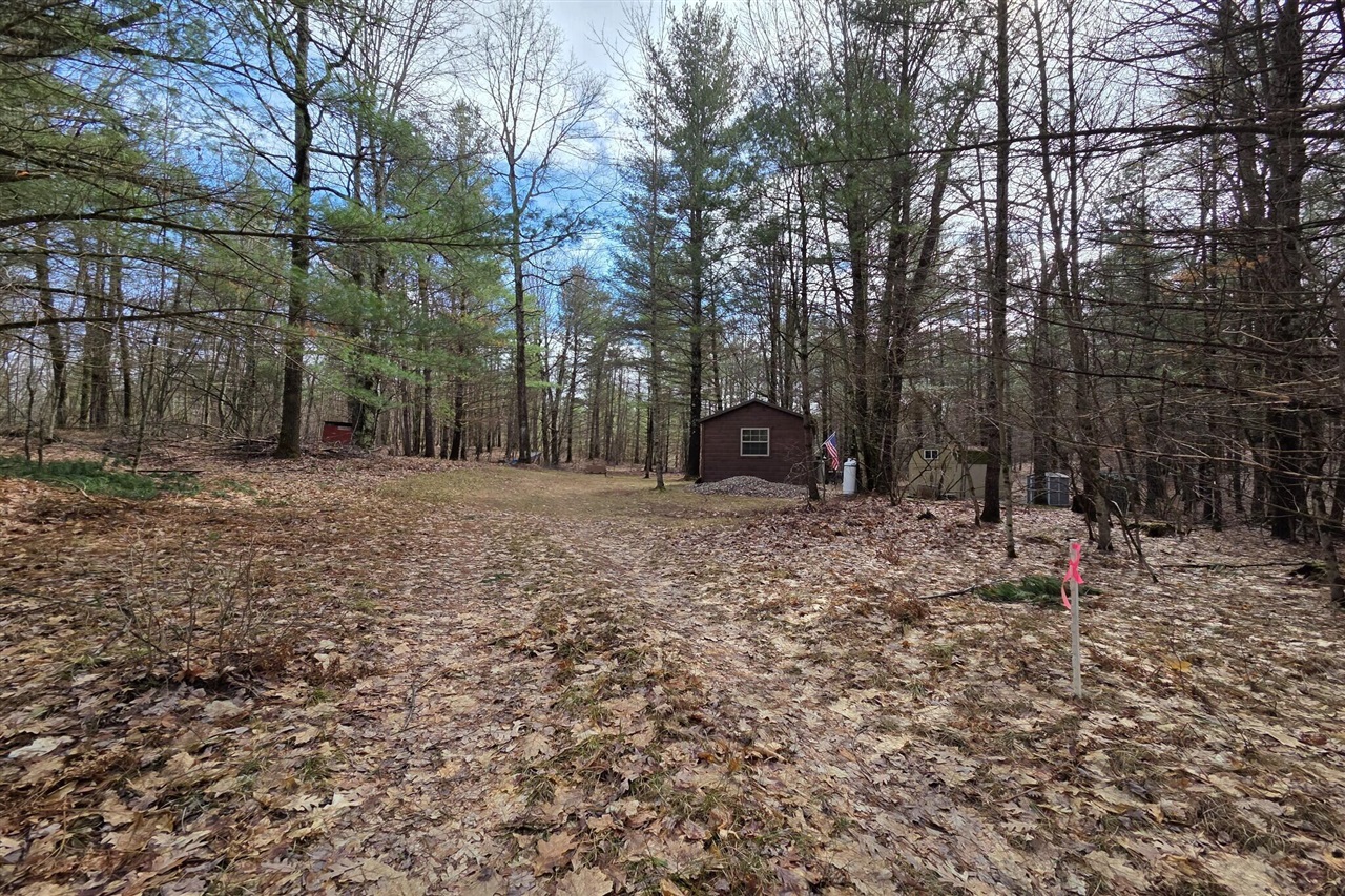 00 E Del Vandell Rd., Chase, MI, 49623-49623