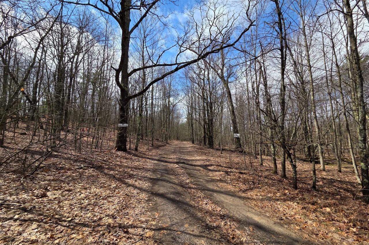 00 E Del Vandell Rd., Chase, MI, 49623-49623