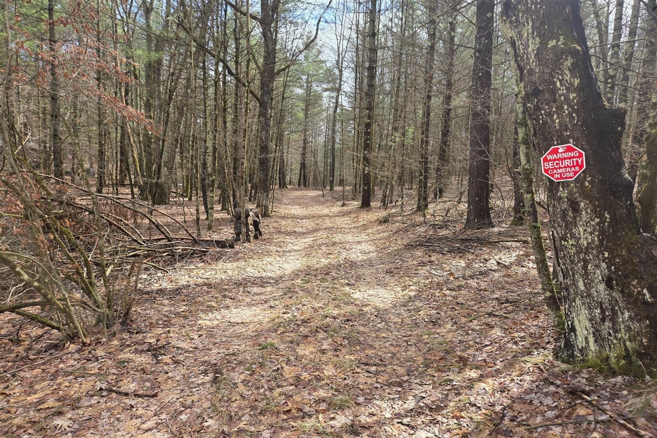 00 E Del Vandell Rd., Chase, MI, 49623-49623