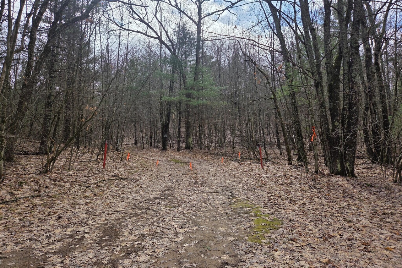 00 E Del Vandell Rd., Chase, MI, 49623-49623