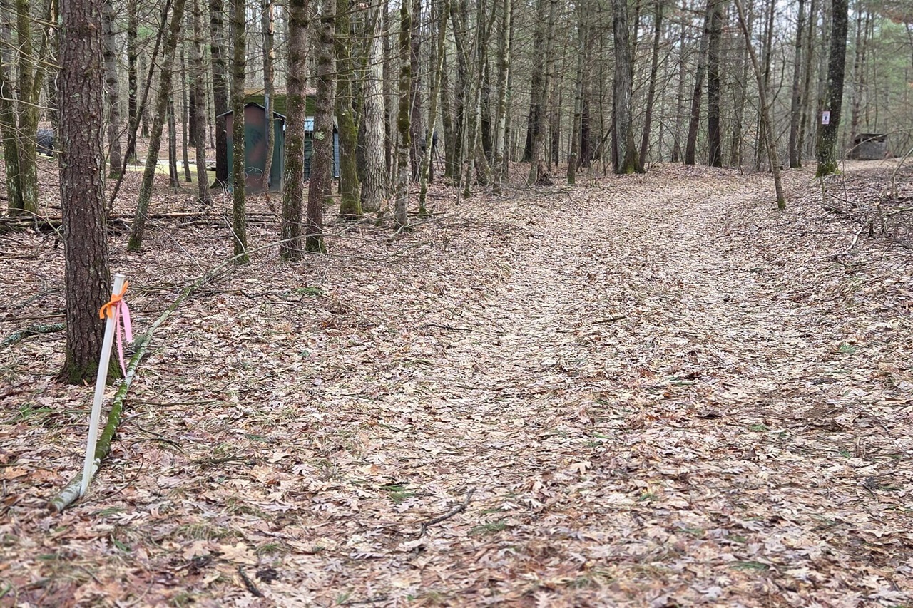 00 E Del Vandell Rd., Chase, MI, 49623-49623