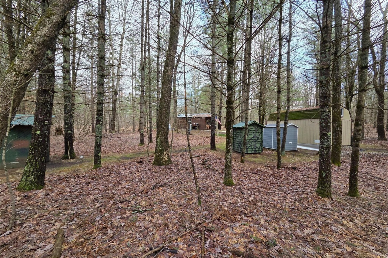 00 E Del Vandell Rd., Chase, MI, 49623-49623