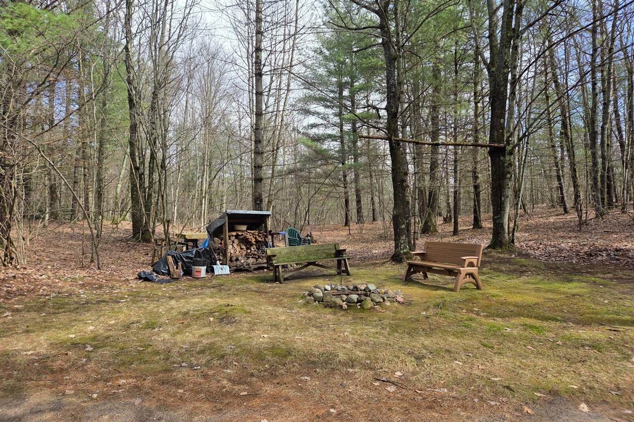 00 E Del Vandell Rd., Chase, MI, 49623-49623