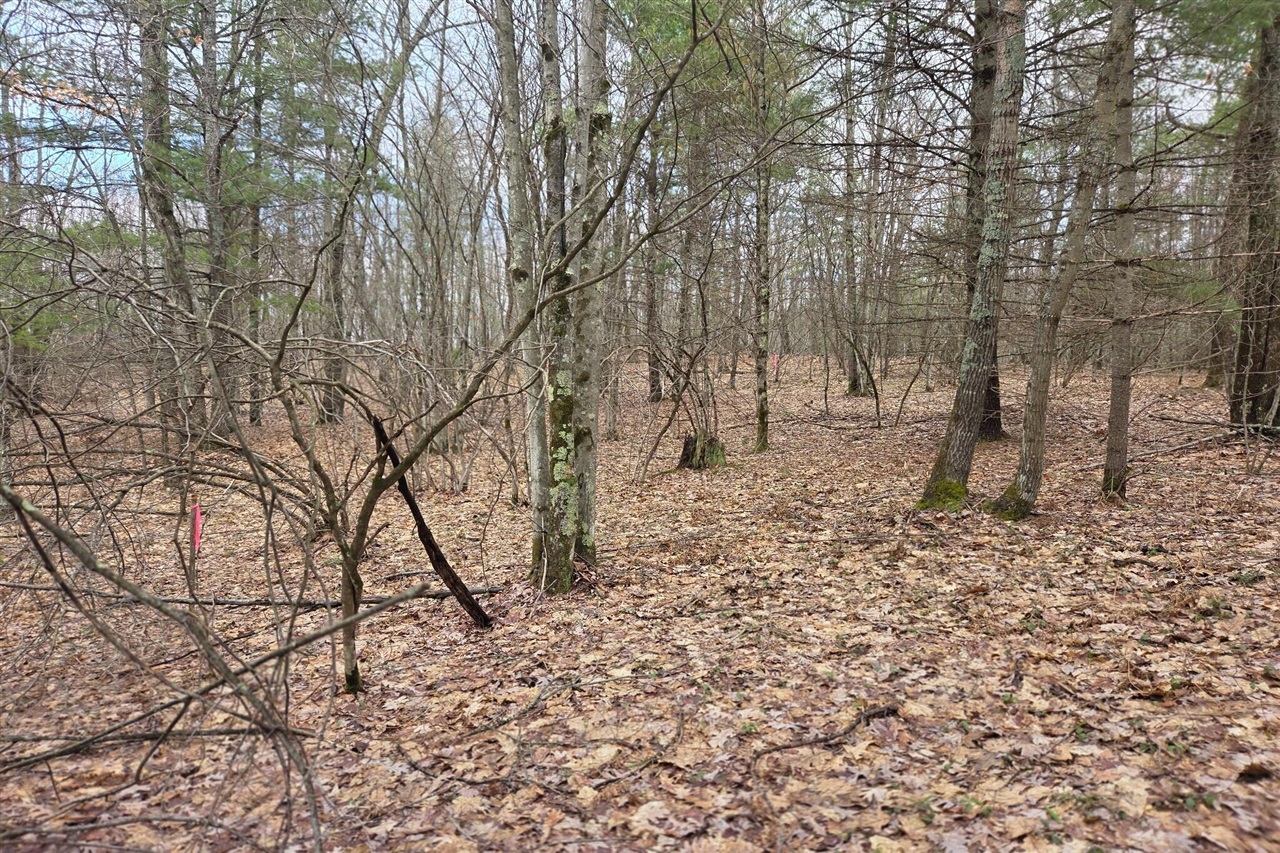 00 E Del Vandell Rd., Chase, MI, 49623-49623