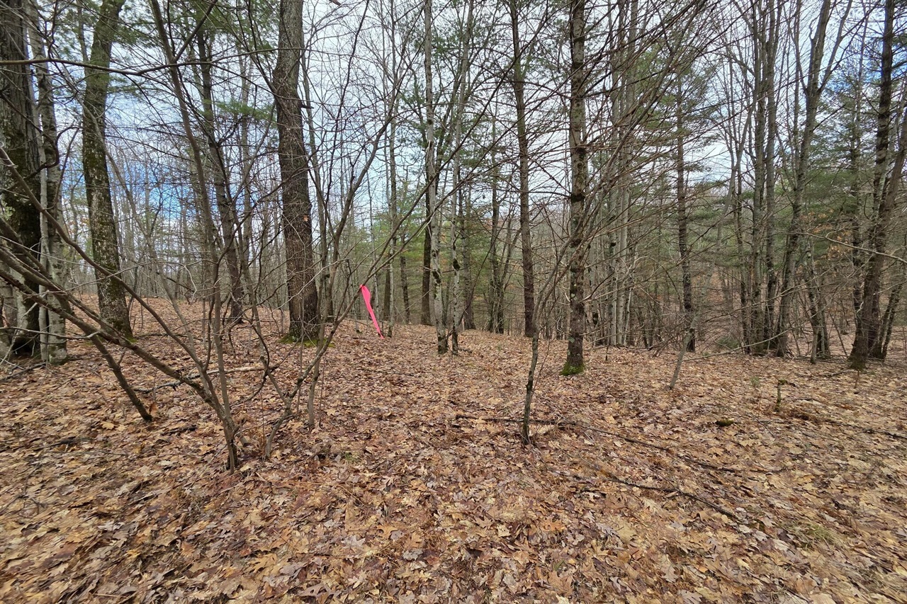 00 E Del Vandell Rd., Chase, MI, 49623-49623