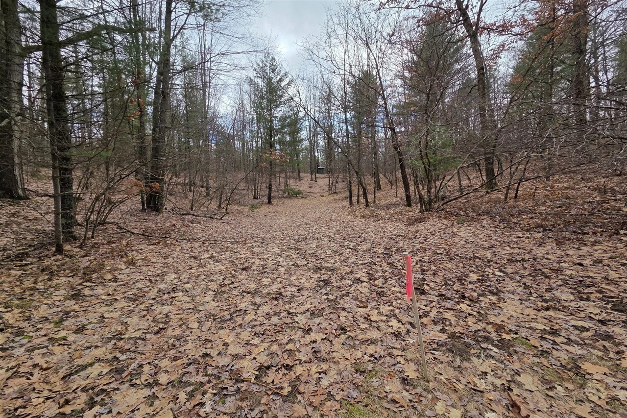 00 E Del Vandell Rd., Chase, MI, 49623-49623