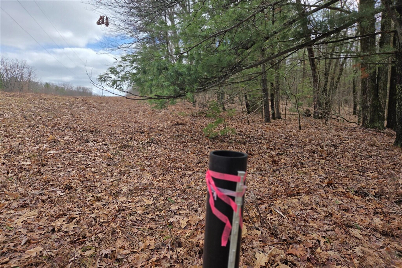 00 E Del Vandell Rd., Chase, MI, 49623-49623