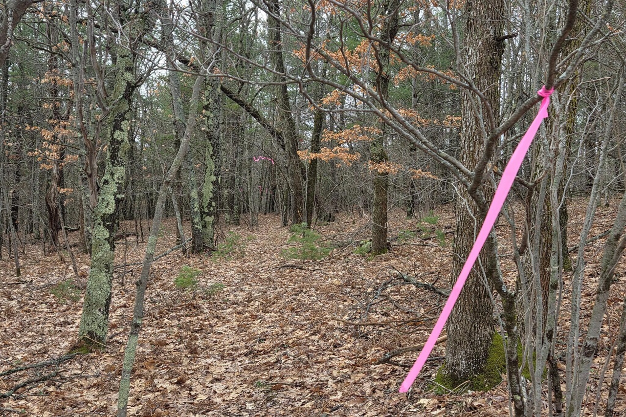 00 E Del Vandell Rd., Chase, MI, 49623-49623