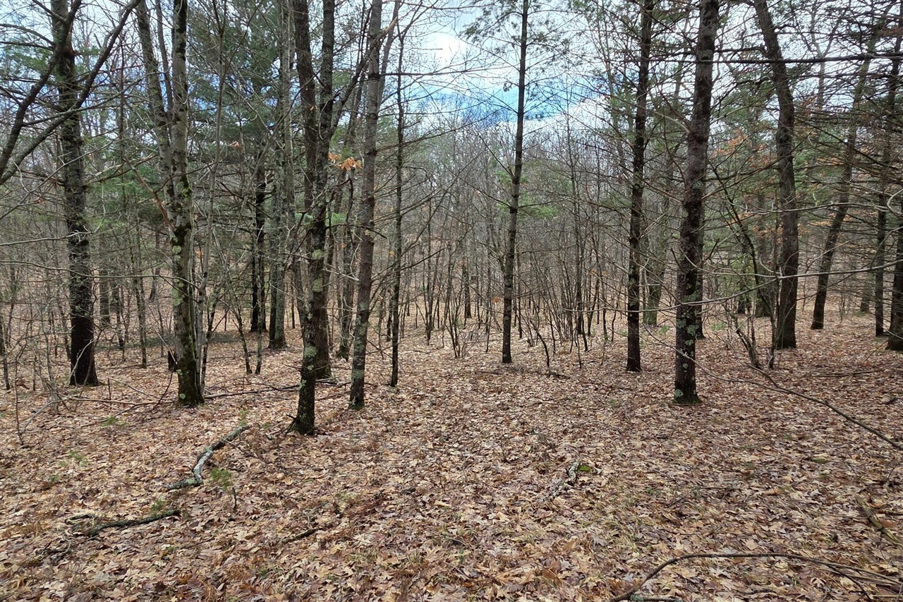 00 E Del Vandell Rd., Chase, MI, 49623-49623