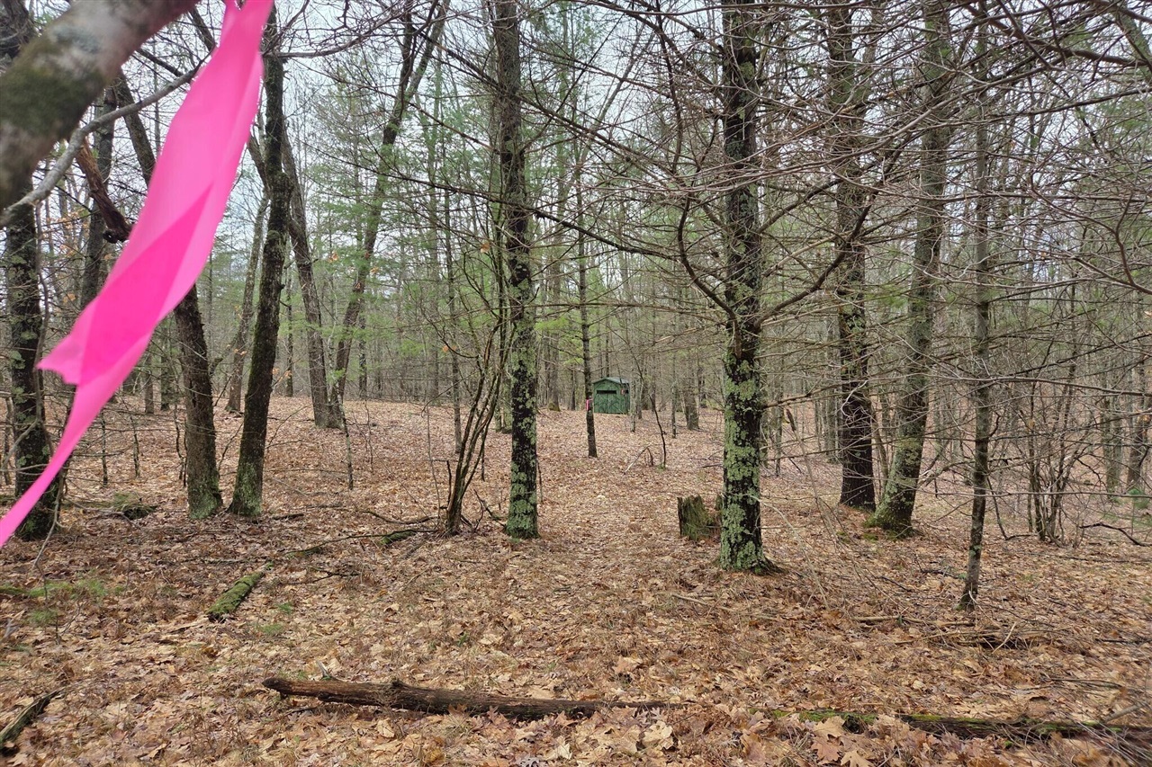 00 E Del Vandell Rd., Chase, MI, 49623-49623