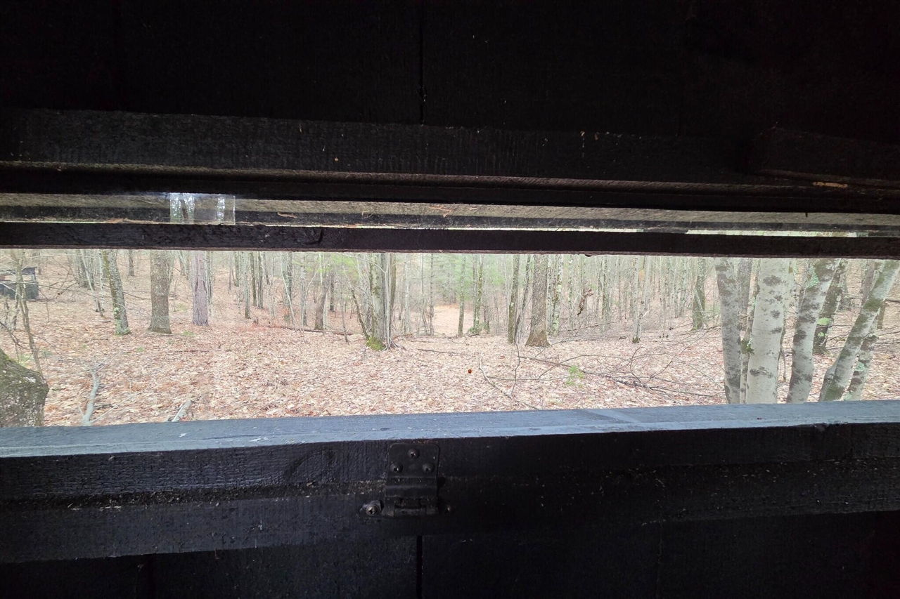 00 E Del Vandell Rd., Chase, MI, 49623-49623