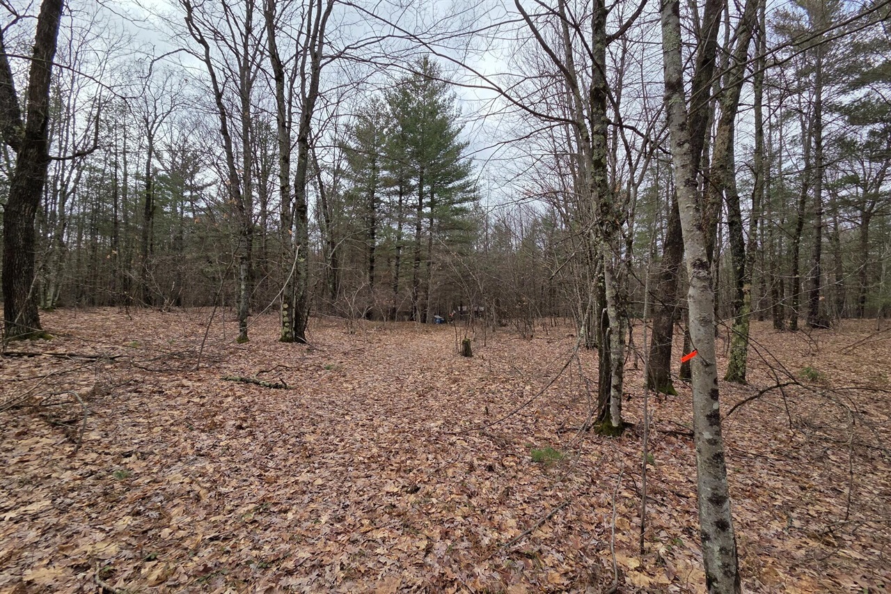 00 E Del Vandell Rd., Chase, MI, 49623-49623