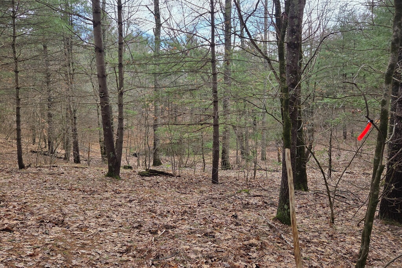 00 E Del Vandell Rd., Chase, MI, 49623-49623