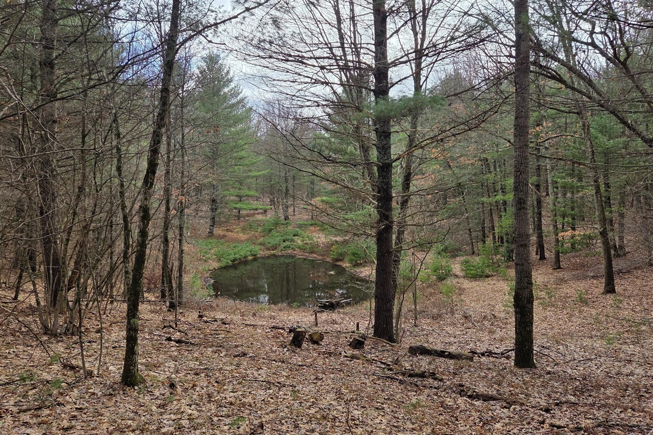 00 E Del Vandell Rd., Chase, MI, 49623-49623