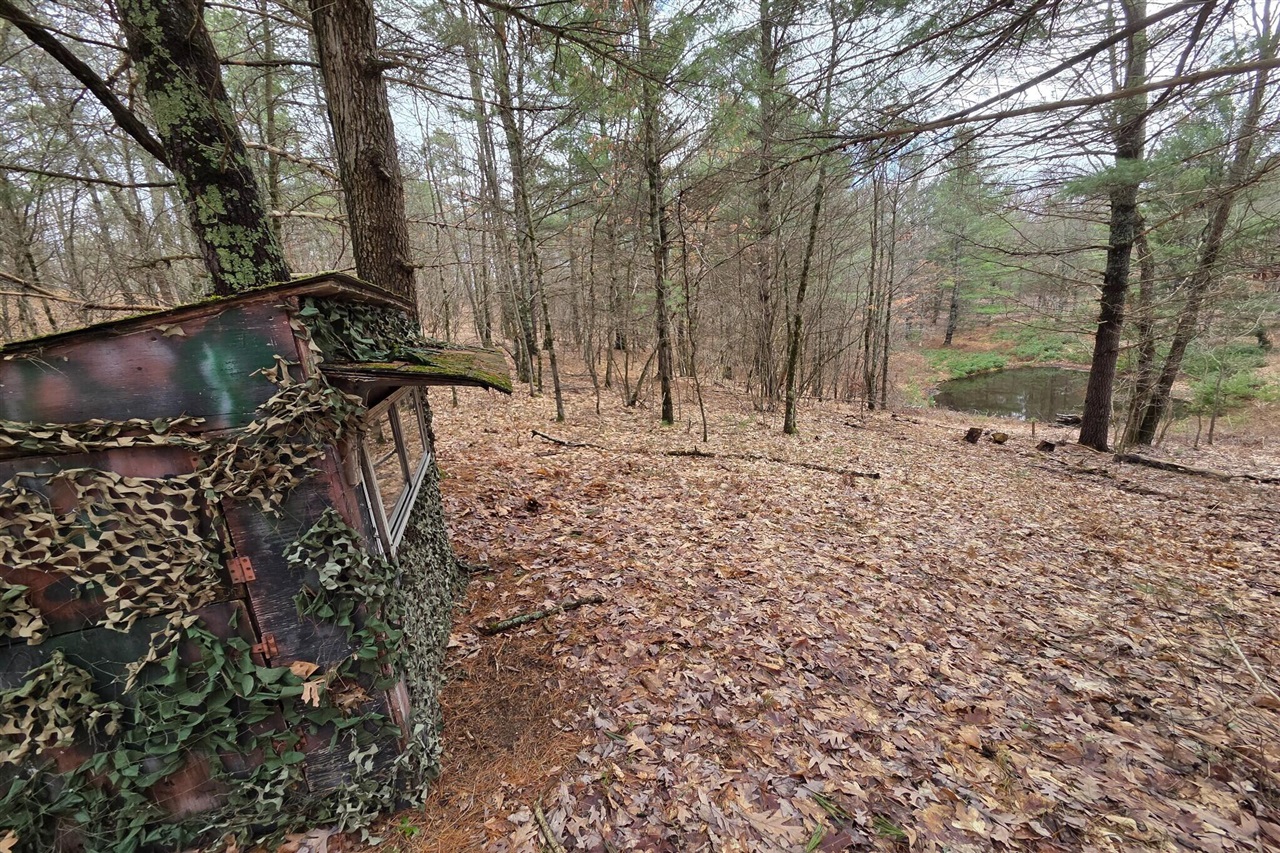 00 E Del Vandell Rd., Chase, MI, 49623-49623