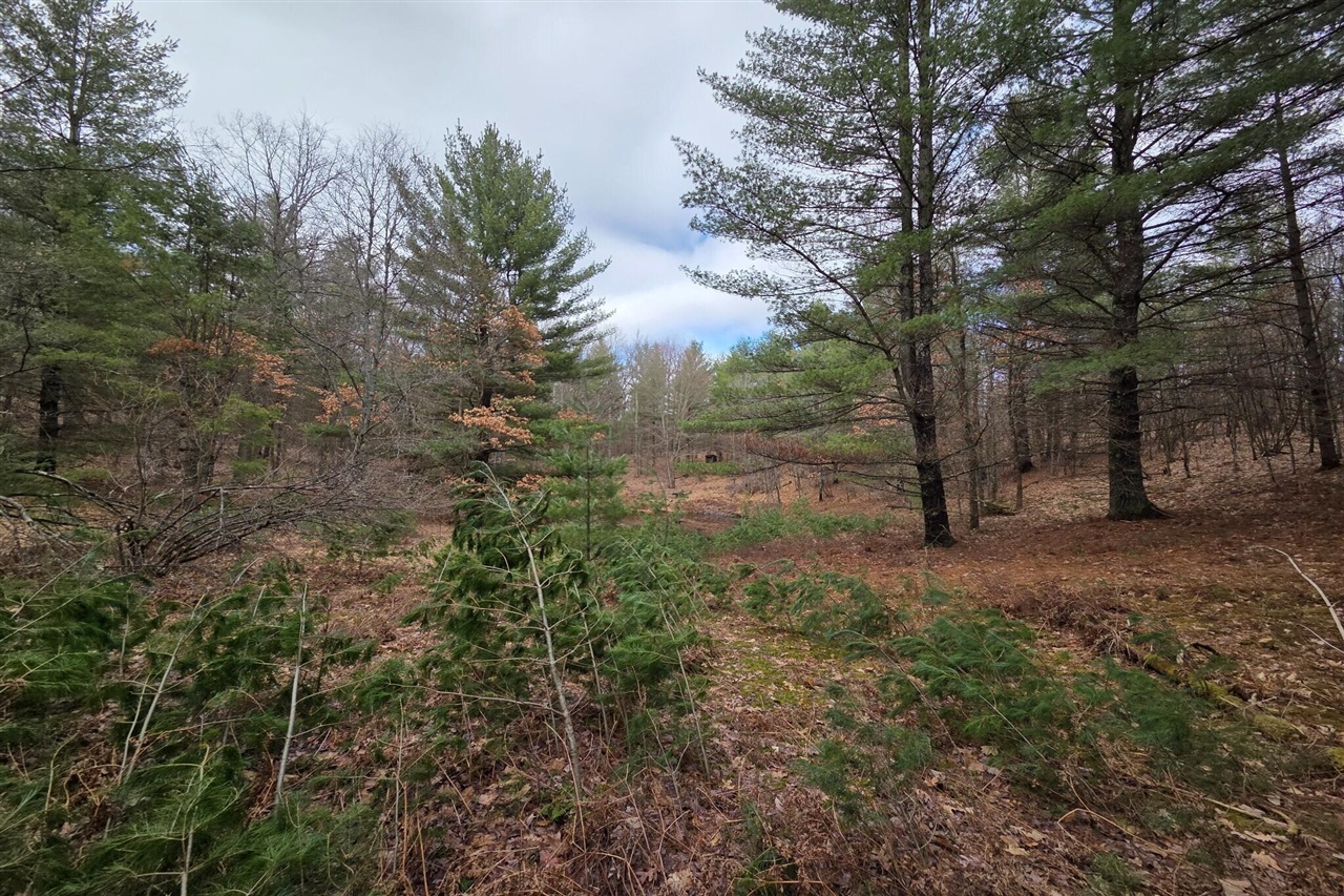 00 E Del Vandell Rd., Chase, MI, 49623-49623