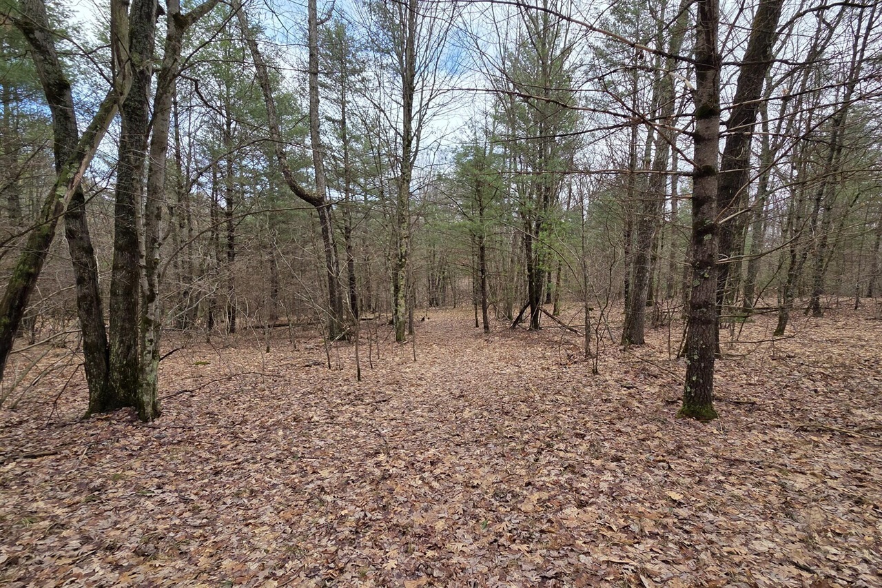 00 E Del Vandell Rd., Chase, MI, 49623-49623