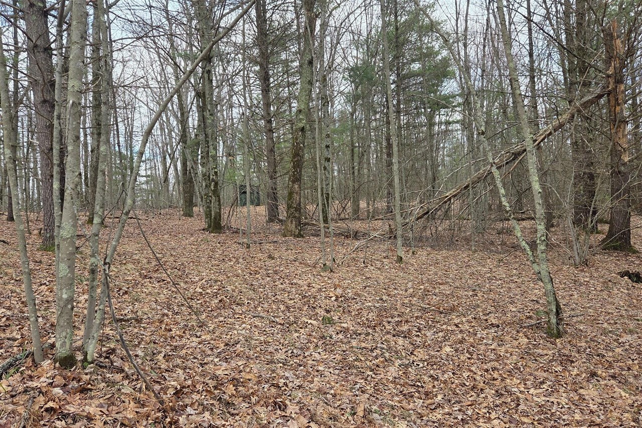 00 E Del Vandell Rd., Chase, MI, 49623-49623