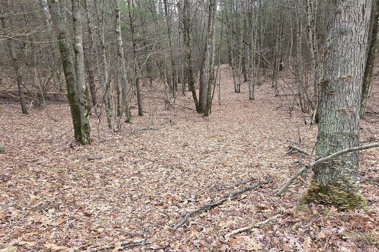 00 E Del Vandell Rd., Chase, MI, 49623-49623