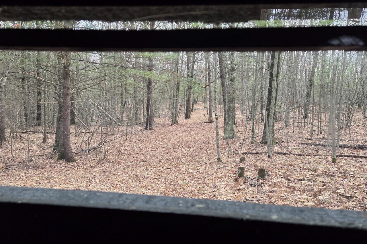 00 E Del Vandell Rd., Chase, MI, 49623-49623