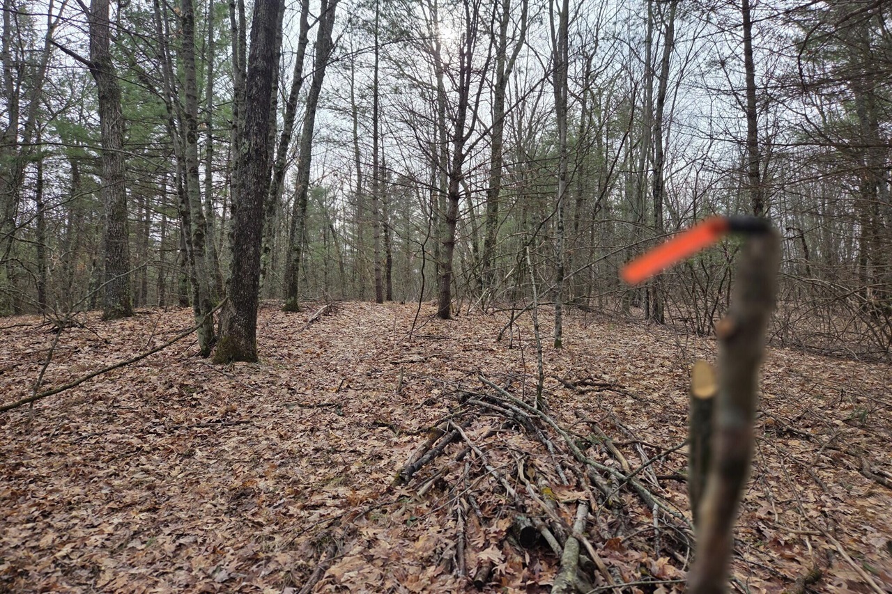 00 E Del Vandell Rd., Chase, MI, 49623-49623