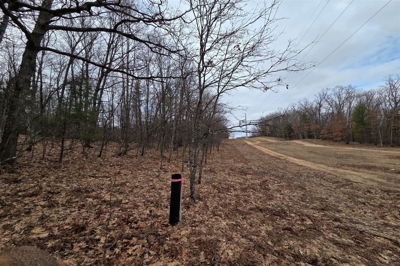 00 E Del Vandell Rd., Chase, MI, 49623-49623