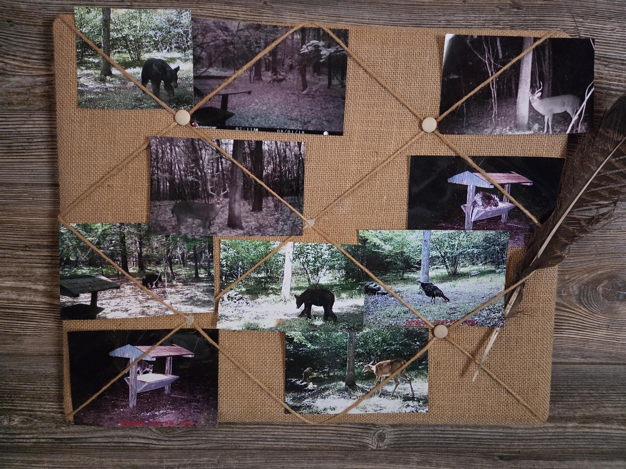 00 E Del Vandell Rd., Chase, MI, 49623-49623