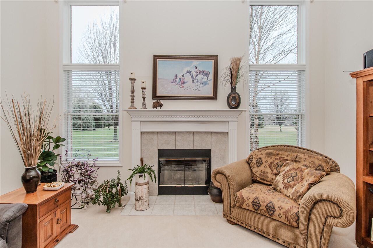 9032 Carter Drive, Saline, MI, 48176-8006