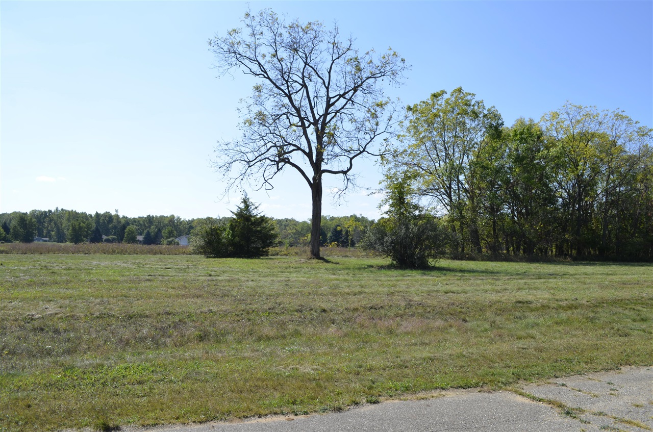 119 V/L Island Hills, Nottawa, MI, 49075