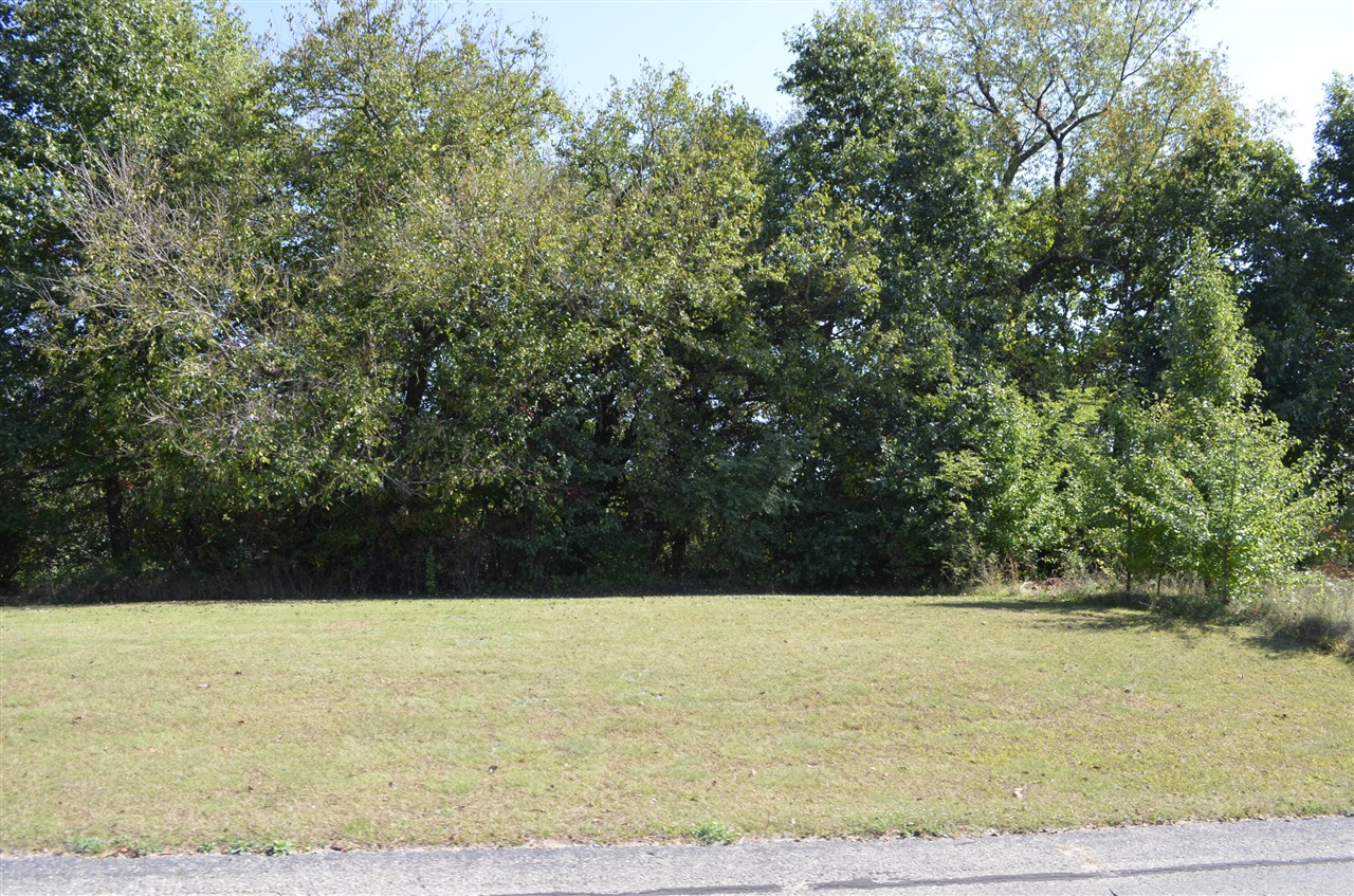 119 V/L Island Hills, Nottawa, MI, 49075