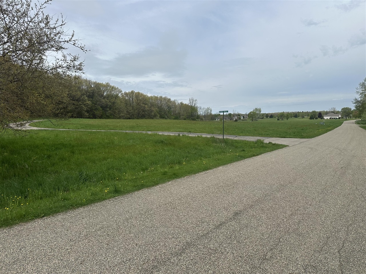 V/L Raintree, Sturgis, MI, 49091