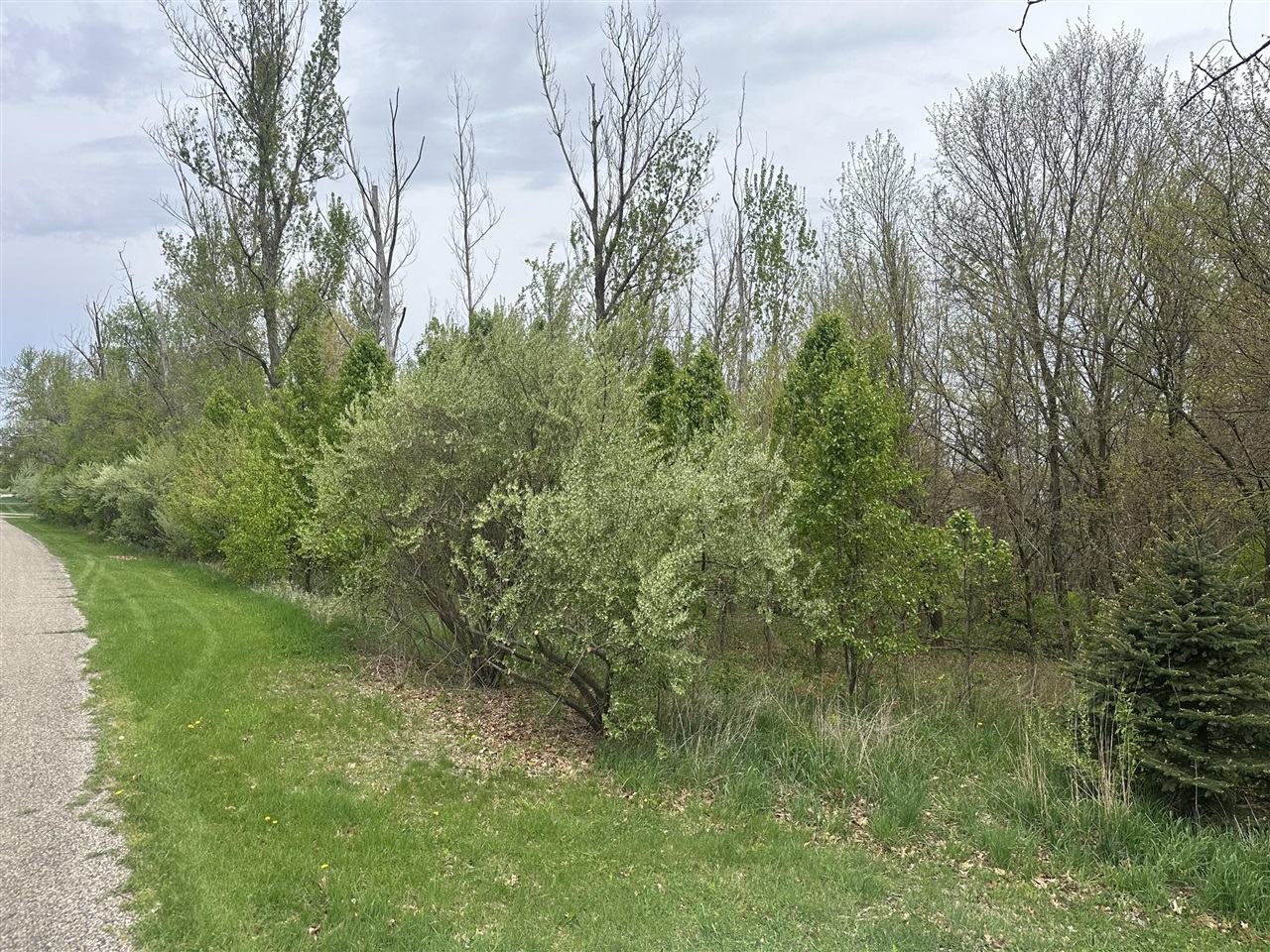 V/L Raintree, Sturgis, MI, 49091