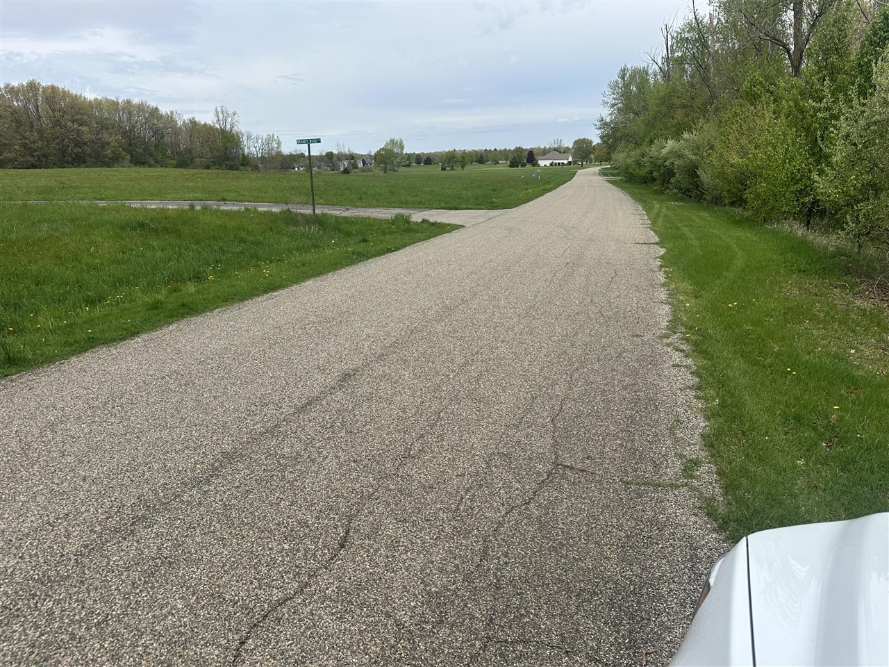 V/L Raintree, Sturgis, MI, 49091