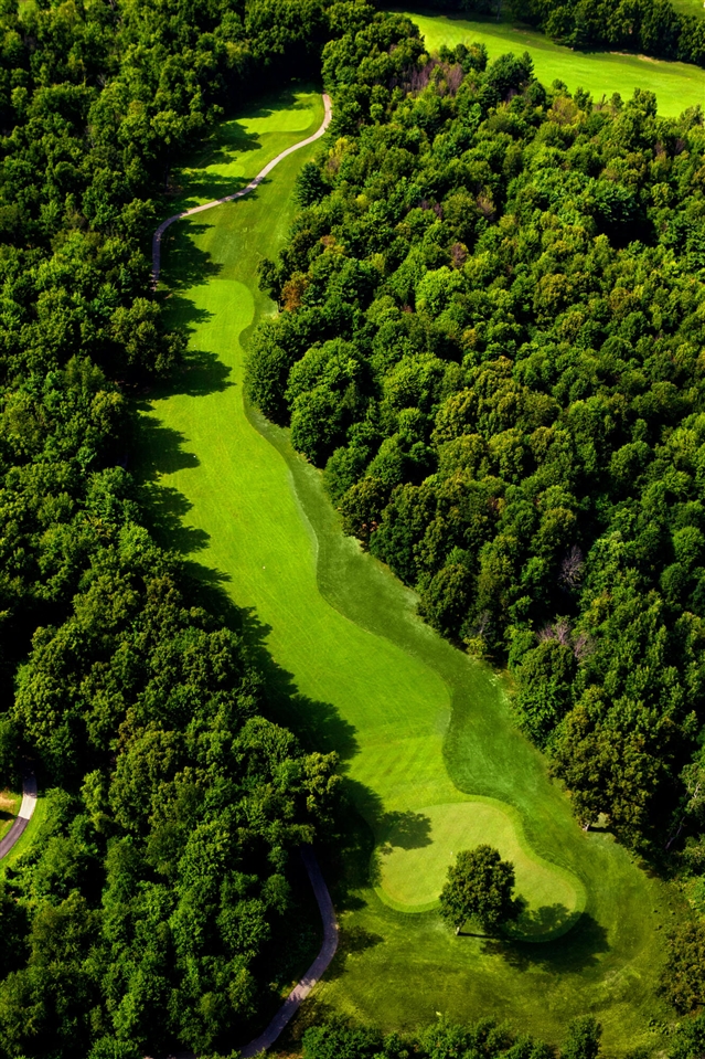 61809 Stonegate, Island Hills Gc Drive, Centreville, MI, 49032-9599