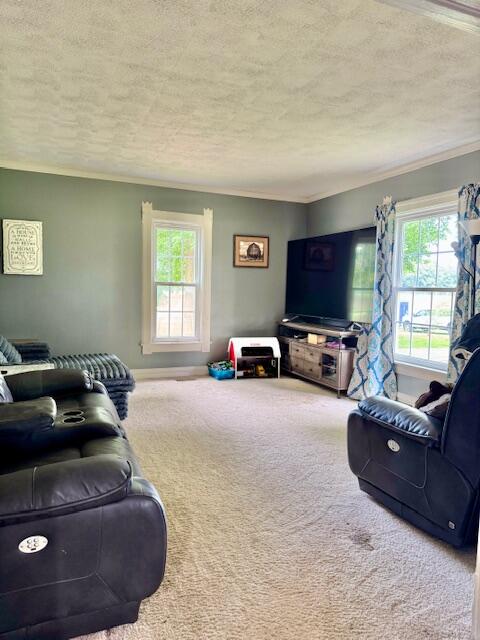 10035 Irish Road, Vermontville, MI, 49096-8712