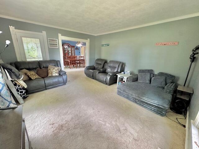 10035 Irish Road, Vermontville, MI, 49096-8712