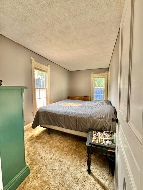 10035 Irish Road, Vermontville, MI, 49096-8712