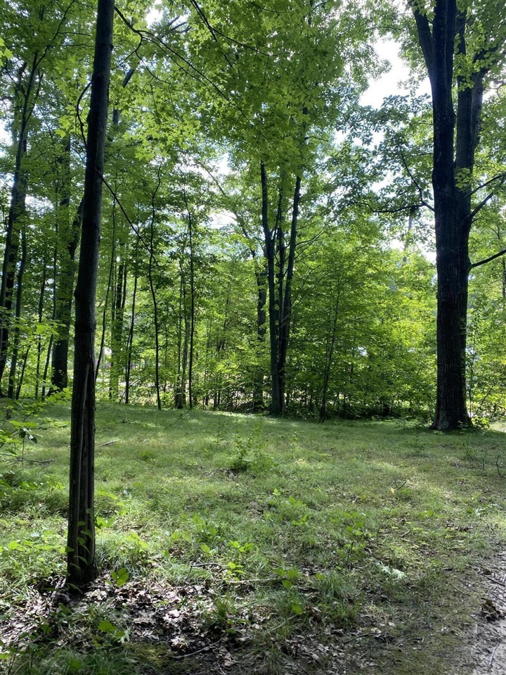 Elm Drive, Lakeview, MI, 48850-48850