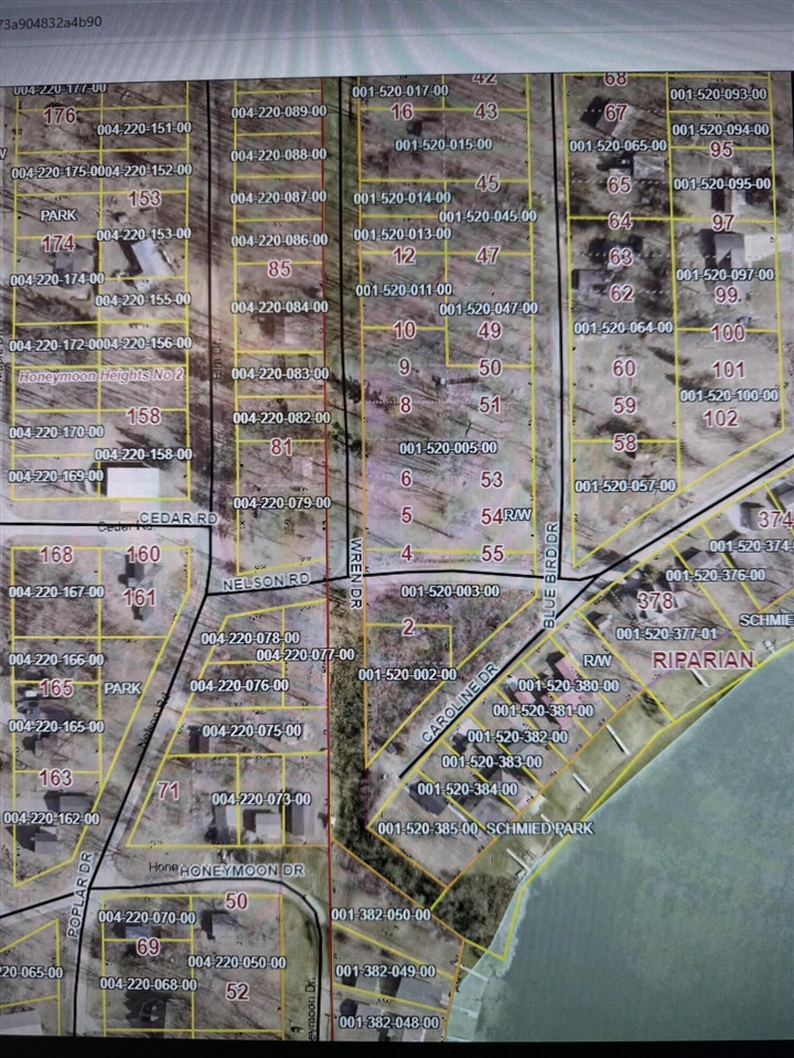 Elm Drive, Lakeview, MI, 48850-48850