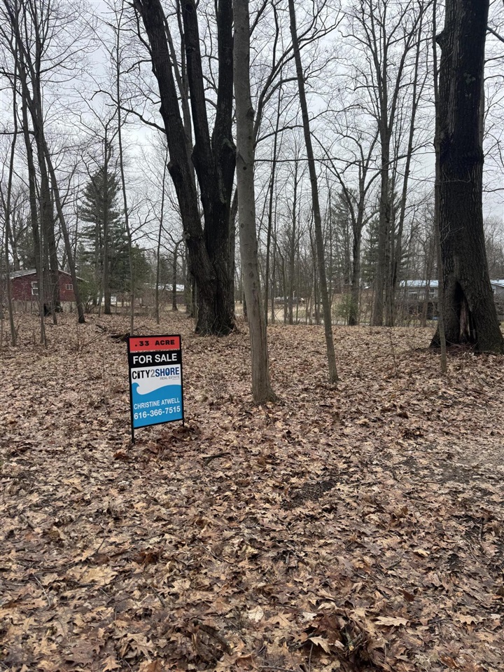 Elm Drive, Lakeview, MI, 48850-48850