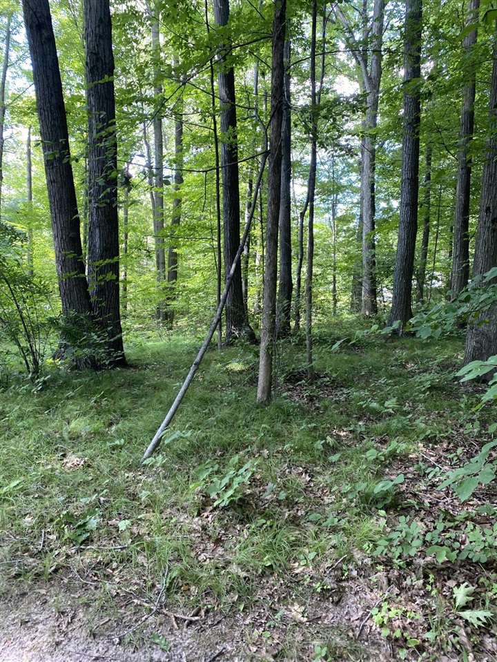 Elm Drive, Lakeview, MI, 48850-48850