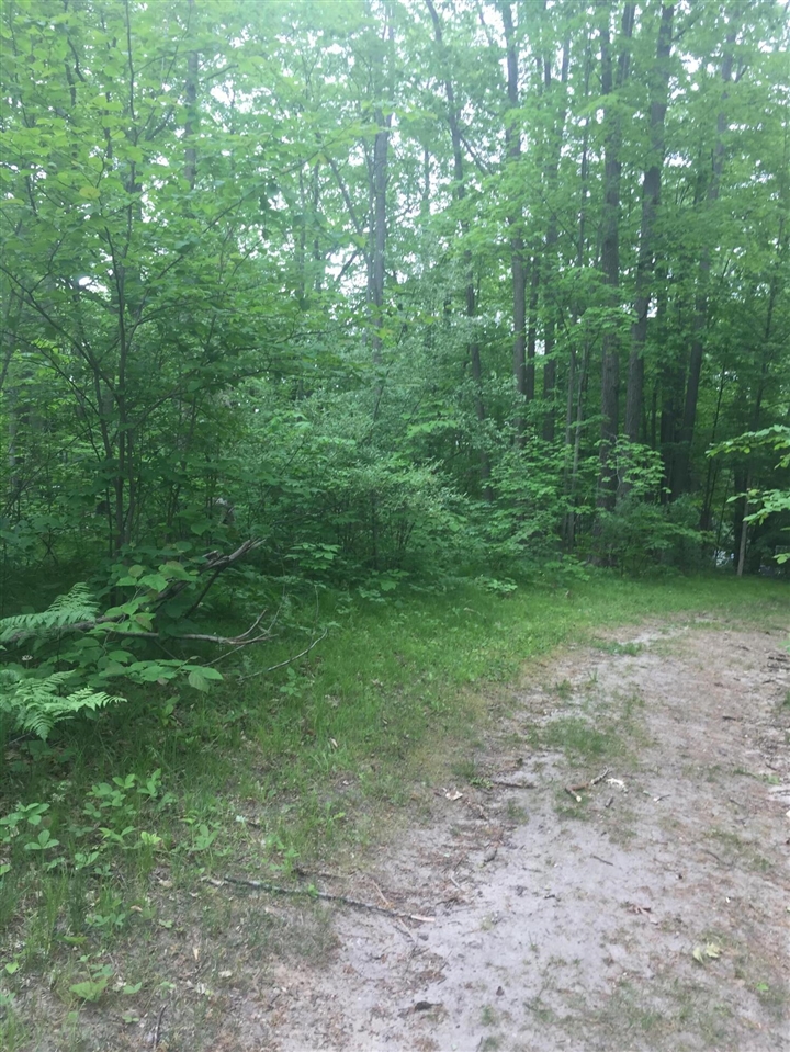 Elm Drive, Lakeview, MI, 48850-48850