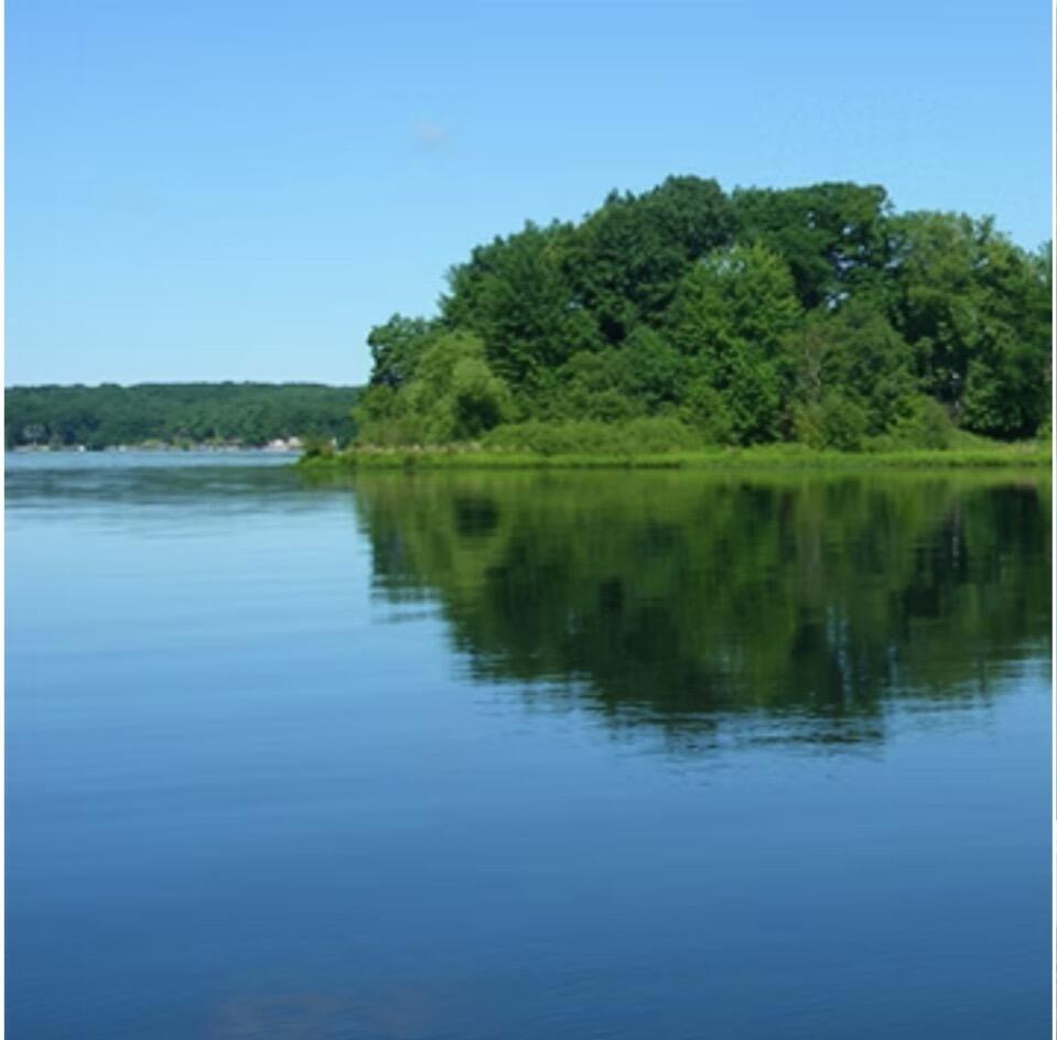 Elm Drive, Lakeview, MI, 48850-48850