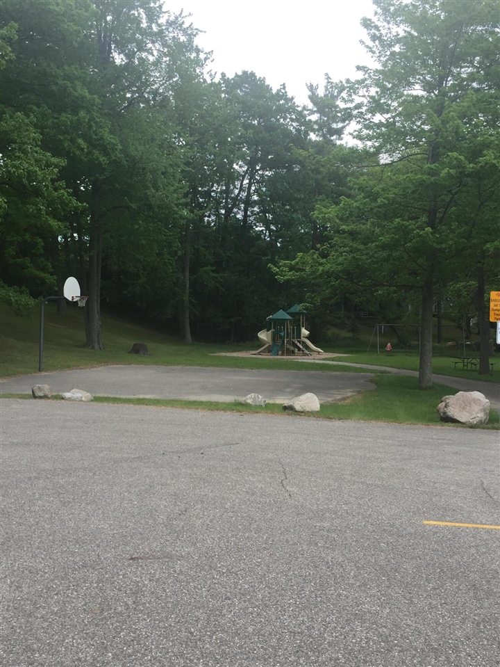 Elm Drive, Lakeview, MI, 48850-48850