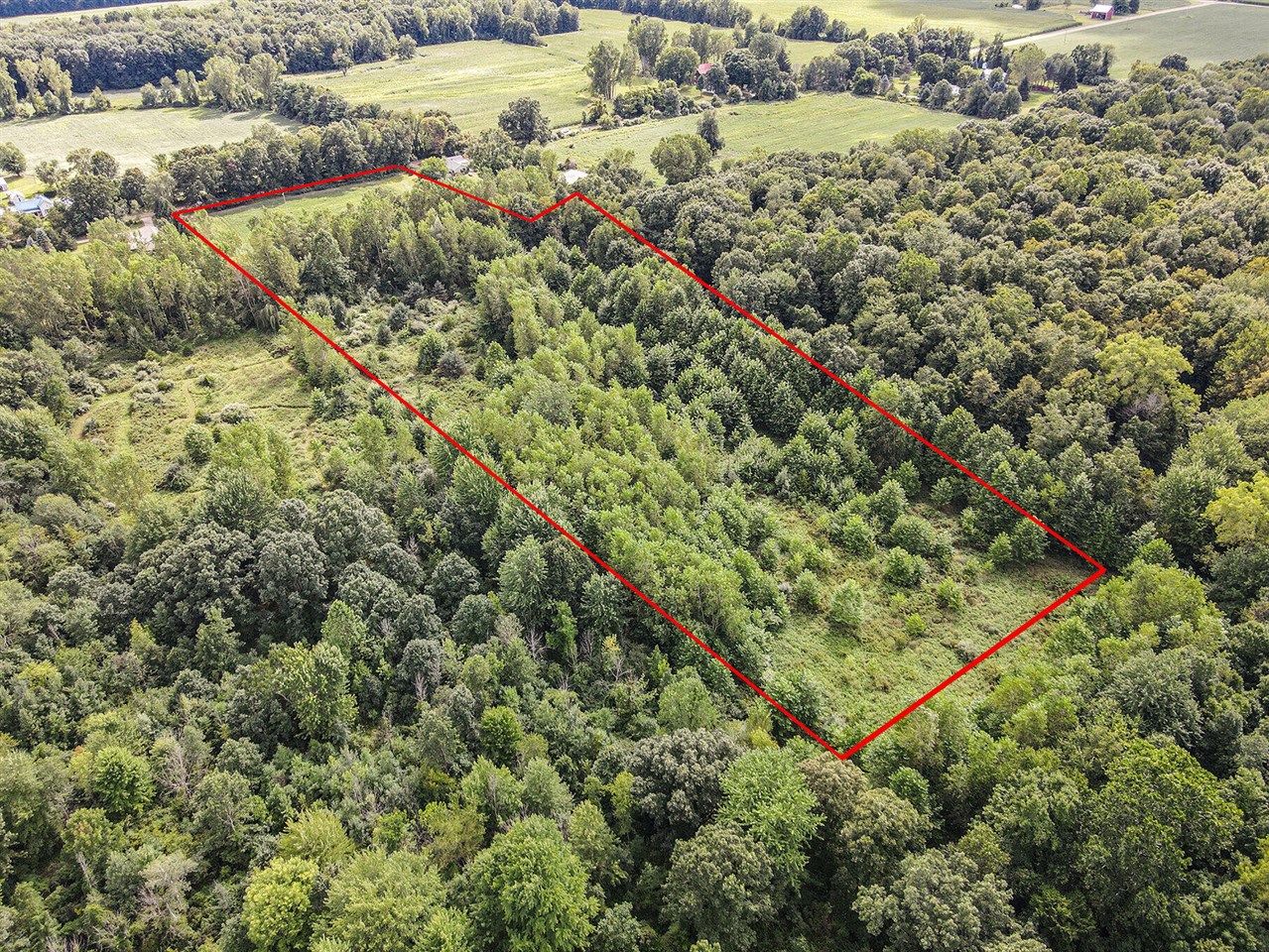 VL W Bruff Road, Fowlerville, MI, 48836