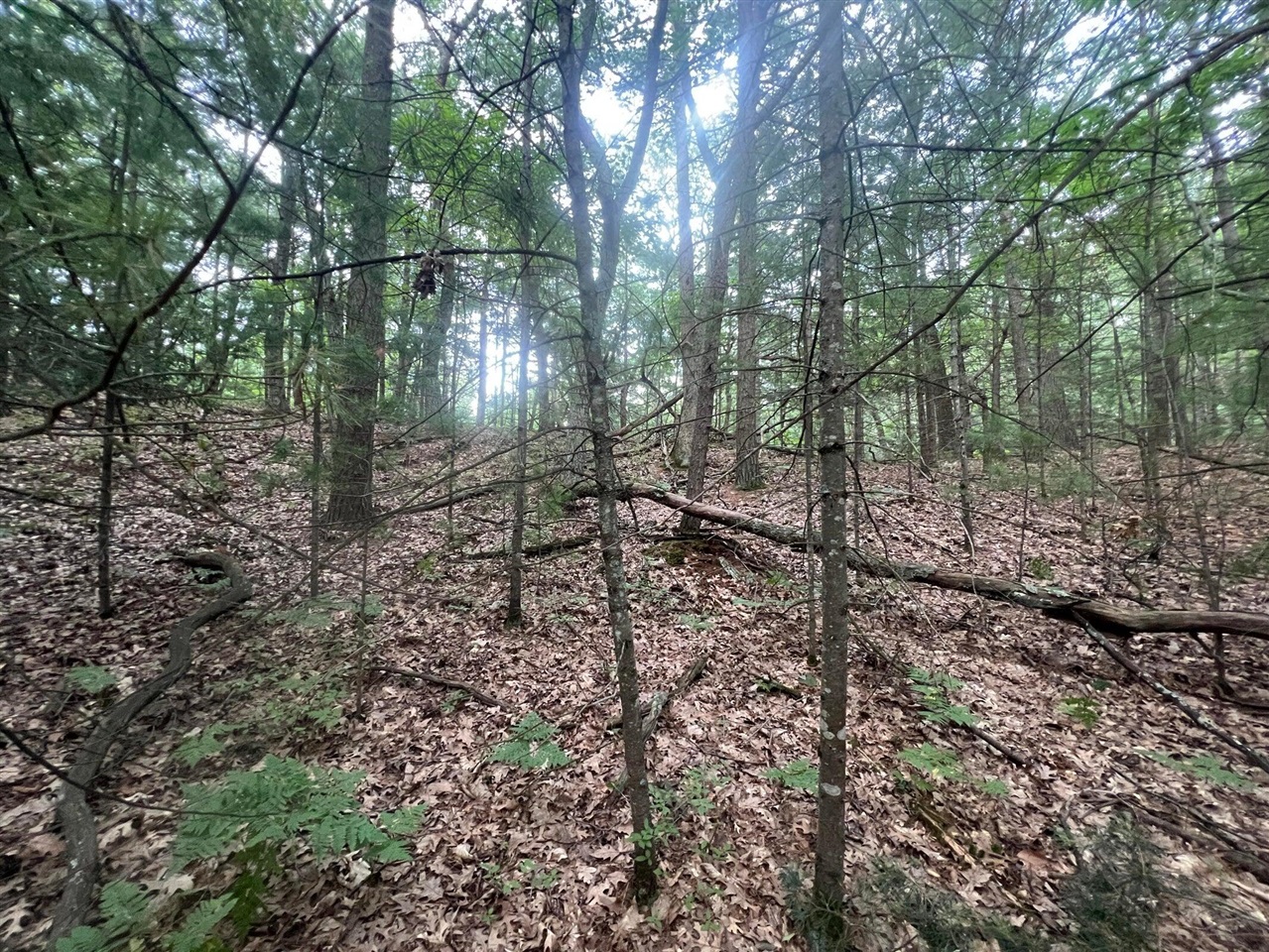 Land for sale at V/l A Lenox Ave, Pentwater, MI 49449 | MLS# 70523471